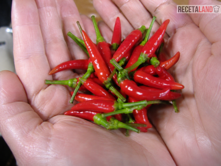 Chile de arbol