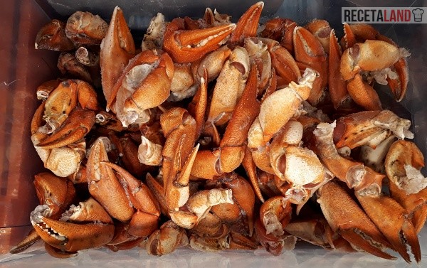 Bocas de mar congeladas