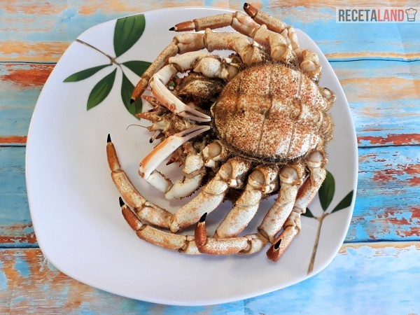 Centolla fresco listo para cocer