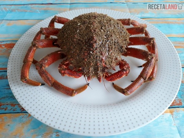 Centolla fresca viva