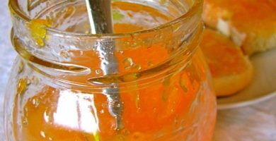 Mermelada de Naranja Amarga Casera