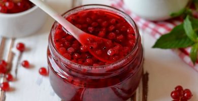Mermelada con Stevia Casera